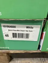 Ca. 94x Dozen gedroogde bloemen, DutchMasters – foto 6 – kavel bij Onlineveilingmeester, Kootstertille