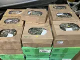 Ca. 94x Dozen gedroogde bloemen, DutchMasters – foto 7 – kavel bij Onlineveilingmeester, Kootstertille