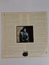 LP: "Graceland" van Paul Simon – foto 2 – kavel bij De Kringwinkel, Waardamme