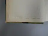 Multatuli - Max Havelaar (De Elsevier-Editie, 1907) – foto 4 – kavel bij De Kringwinkel, Diest