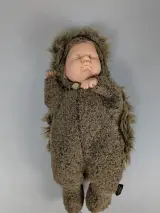 Anne Geddes baby pop in egelkostuum – foto 3 – kavel bij De Kringwinkel, Sint-Niklaas