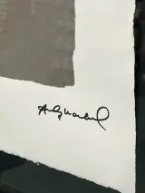 Offset-lithografie, Andy Warhol, Mick Jagger, (gesigneerd met certificaat) – foto 3 – kavel bij Onlineveilingmeester, Groningen