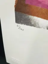 Offset-lithografie, Andy Warhol, Mick Jagger, (gesigneerd met certificaat) – foto 4 – kavel bij Onlineveilingmeester, Groningen