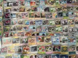 Ca. 250x Speciale reverse holo rare Pokémon-kaarten – foto 5 – kavel bij Onlineveilingmeester, Groningen