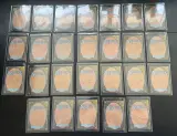 Ca. 250x Speciale glimmende (foil) Magic The Gathering kaarten – foto 16 – kavel bij Onlineveilingmeester, Groningen