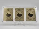 Metalen Pokémon Charizard kaarten in luxe acryl display – foto 3 – kavel bij Onlineveilingmeester, Groningen