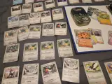 Grote Pokémonkaartenverzameling met zeldzame kaarten, verzamelmap en Pokémon-blik – foto 11 – kavel bij Onlineveilingmeester, Groningen