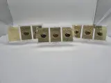 3x Metalen Venusaur, Charizard en Blastoise (Base Set) Pokémon kaarten in acryl display – foto 4 – kavel bij Onlineveilingmeester, Groningen
