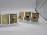 3x Metalen Venusaur, Charizard en Blastoise (Base Set) Pokémon kaarten in acryl display – foto 6 – kavel bij Onlineveilingmeester, Groningen