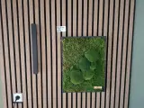Diverse decoratie en verlichting – foto 5 – kavel bij Onlineveilingmeester, Hoogeveen