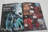 lot strips: Darkchylde – foto 3 – kavel bij De Kringwinkel, Brecht