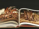 Jimmy Nelson – Before They Pass Away – teNeues, 2013 – foto 11 – kavel bij De Kringwinkel, Antwerpen