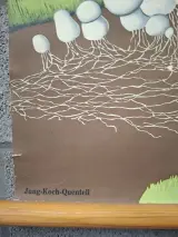 Vintage biologische schoolplaat paddenstoel Psalliota campestris – foto 3 – kavel bij De Kringwinkel, Gent