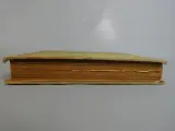 De Doktoor der Krankzinnige Vrouwen - Xavier de Montépin - 1893 – foto 12 – kavel bij De Kringwinkel, Diest