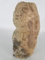 Twee decoratieve vogelsculpturen – foto 4 – kavel bij De Kringwinkel, Heverlee