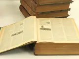 Lot van 14 antieke Larousse Mensuel Illustré encyclopedieboeken – foto 6 – kavel bij De Kringwinkel, Antwerpen