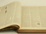 Lot van 14 antieke Larousse Mensuel Illustré encyclopedieboeken – foto 9 – kavel bij De Kringwinkel, Antwerpen