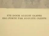 Oud-België (1930) – kunstuitgave met grafiek van John Michaux en Auguste Oleffe – foto 11 – kavel bij De Kringwinkel, Antwerpen