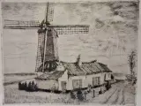 Gesigneerde ets 8/100 - “Molenhuisje – Zingem” - Romain Malfliet – foto 8 – kavel bij De Kringwinkel, Gent