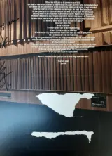 Vinyl: Günther Neefs - Back to Swing (Gesigneerde Versie) – foto 5 – kavel bij De Kringwinkel, Gent