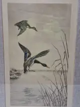 Wilde eenden boven het water - gesigneerde kleurenprent - Léon Danchin – foto 3 – kavel bij De Kringwinkel, Gent