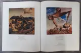 Boek: Trio van Dali kunstboeken – foto 5 – kavel bij De Kringwinkel, Gent