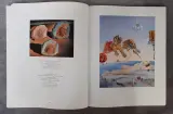 Boek: Trio van Dali kunstboeken – foto 7 – kavel bij De Kringwinkel, Gent