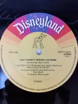 Vinyl: Set Van Vijf Originele Walt Disney Albums – foto 4 – kavel bij De Kringwinkel, Gent
