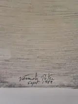 Ingelijst fantasielandschap - gesigneerd “Vermote Peter”, september 1989 – foto 6 – kavel bij De Kringwinkel, Gent