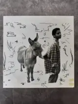 Vinyl: Meskerem Mees - Julius – foto 6 – kavel bij De Kringwinkel, Gent