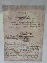 IKEA ÖLUNDA - Leonardo da Vinci - wanddecoratie met vijf studies in 3D-lijst – foto 2 – kavel bij De Kringwinkel, Gent