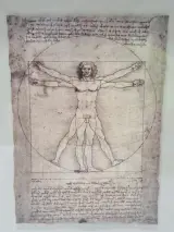 IKEA ÖLUNDA - Leonardo da Vinci - wanddecoratie met vijf studies in 3D-lijst – foto 3 – kavel bij De Kringwinkel, Gent