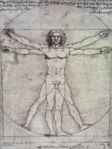 IKEA ÖLUNDA - Leonardo da Vinci - wanddecoratie met vijf studies in 3D-lijst – foto 7 – kavel bij De Kringwinkel, Gent