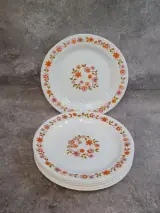 Vintage Arcopal 21-delig servies uit de jaren 70 - Scania decor – foto 23 – kavel bij De Kringwinkel, Gent
