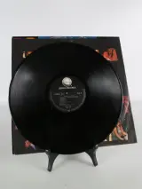 Guns N’ Roses LP - Appetite for Destruction - met controversiële Robot-hoes – foto 2 – kavel bij De Kringwinkel, Heverlee