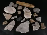 Verzameling van fossielen, mineralen en bijzondere gesteenten – kavel bij De Kringwinkel, Heverlee