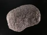 Verzameling van fossielen, mineralen en bijzondere gesteenten – foto 11 – kavel bij De Kringwinkel, Heverlee