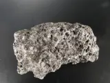 Verzameling van fossielen, mineralen en bijzondere gesteenten – foto 12 – kavel bij De Kringwinkel, Heverlee