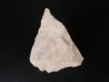 Verzameling van fossielen, mineralen en bijzondere gesteenten – foto 4 – kavel bij De Kringwinkel, Heverlee