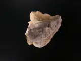 Verzameling van fossielen, mineralen en bijzondere gesteenten – foto 10 – kavel bij De Kringwinkel, Heverlee