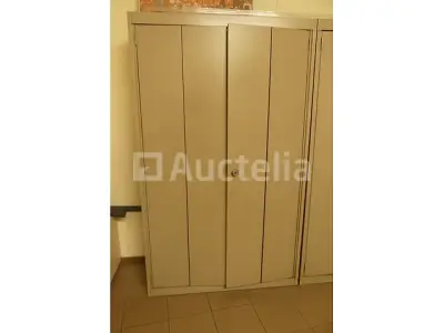 Metalen kast – kavel bij Auctelia, Charleroi