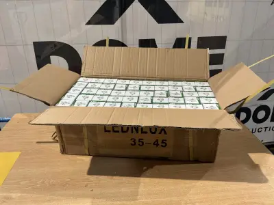 Energiezuinige LED-lampen (ongebruikt) (100x) – kavel bij Dome Auctions, Depot Deinze