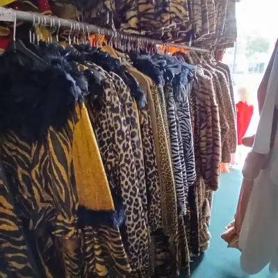 Ca. 80x Verkleedkleding: thema dieren – kavel bij Onlineveilingmeester, Drachten