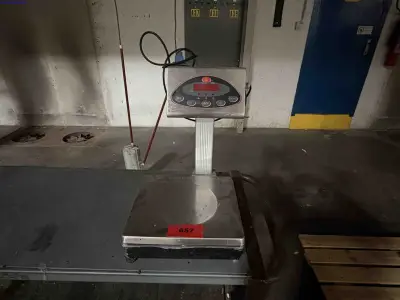 Bench-top digital platform scale Grupo Epelsa Dexal – kavel bij NetBid, Sint Baafs Vijve