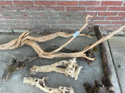 Decoratief hout – kavel bij HNVI, Valkenswaard