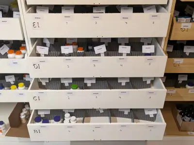 Diverse Supplementen, O.a. Doctor's Best, Now, Quicksilver Scientific – kavel bij Onlineveilingmeester, Groningen