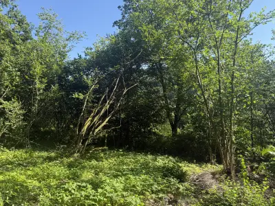 Sint Wendel – kavel bij Vastgoedveiling.nl, Sint Wendel
