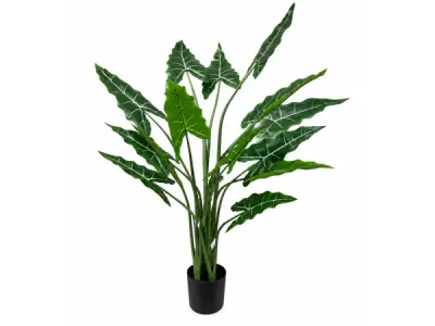 2x 175cm Real touch Alocasia tree x 15 lvs in 8" plastic pot – kavel bij XL Auctions
