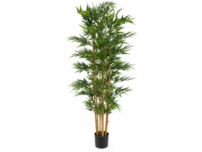 2x 210cm Real touch bamboo in plastic pot(Pot size:D195x175mm) – kavel bij XL Auctions