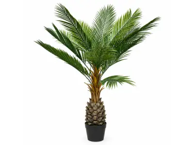 2x 150cm Palm tree x 12 lvs in plastic pot – kavel bij XL Auctions